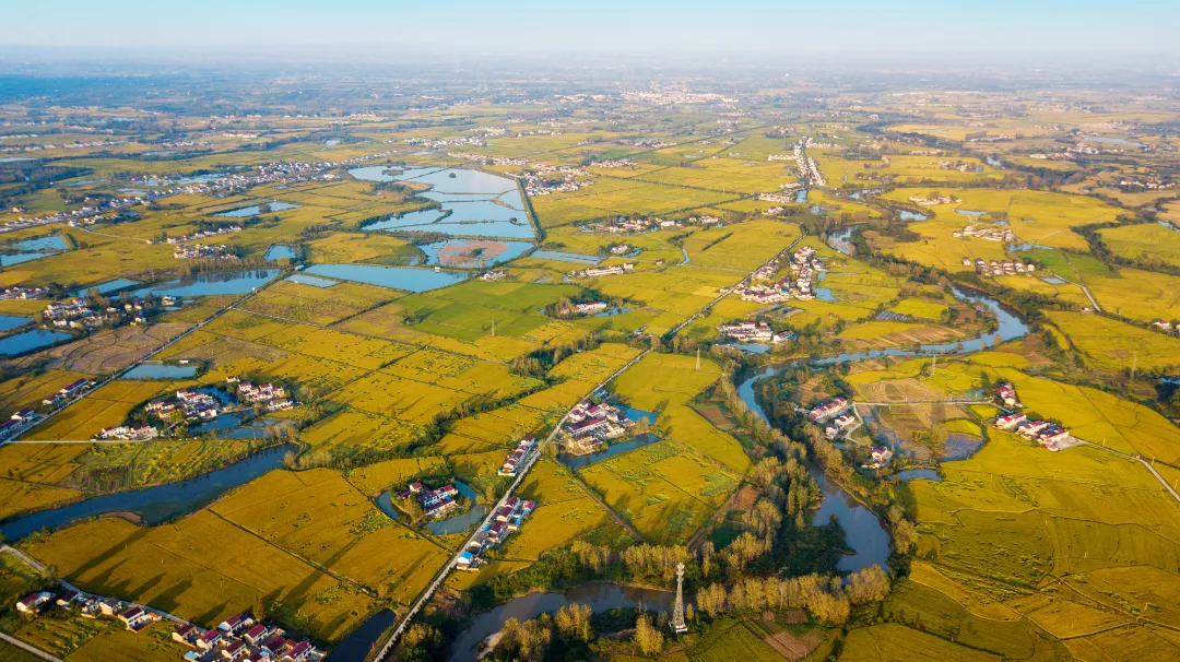 2026年中央一号文件中涉水要点有哪些